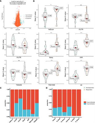 The prognostic value of whole-genome DNA methylation in response to Leflunomide in patients with Rheumatoid Arthritis